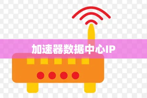 加速器数据中心IP