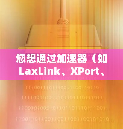您想通过加速器（如LaxLink、XPort、Orbit等）访问客户端吗？请提供具体的信息，例如