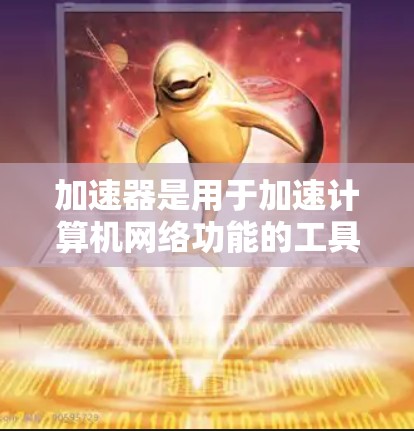 加速器是用于加速计算机网络功能的工具，通常指那些通过网络加速技术提升速度的软件或服务。如果你对加速器的使用或评价感兴趣，以下是一些可能的方面和建议