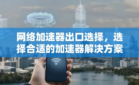 网络加速器出口选择，选择合适的加速器解决方案