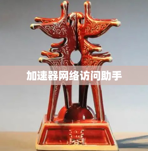 加速器网络访问助手