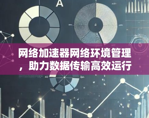 网络加速器网络环境管理，助力数据传输高效运行