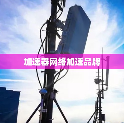 加速器网络加速品牌