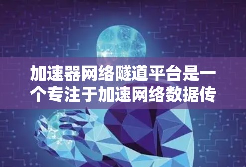 加速器网络隧道平台是一个专注于加速网络数据传输和处理的加密货币平台，主要涉及区块链、分布式计算和智能合约的应用。以下是对该平台的详细介绍