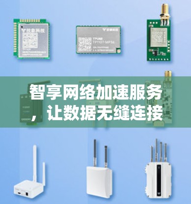 智享网络加速服务，让数据无缝连接，更顺畅更高效