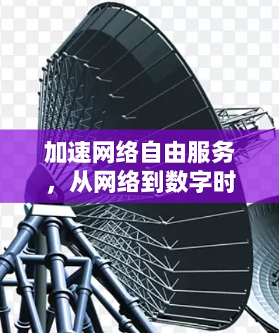 加速网络自由服务，从网络到数字时代的新标准