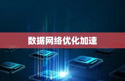 数据网络优化加速