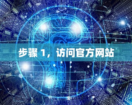 步骤 1，访问官方网站