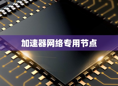 加速器网络专用节点