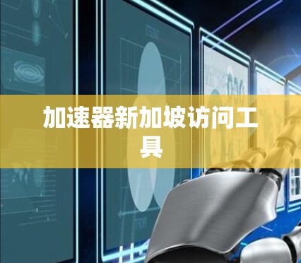 加速器新加坡访问工具