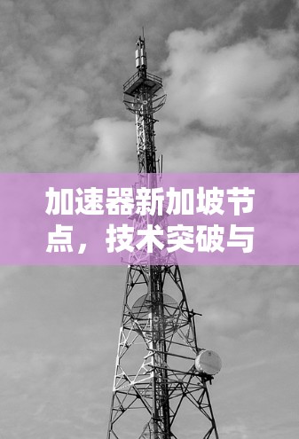 加速器新加坡节点，技术突破与经济影响