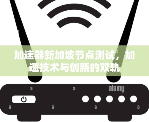 加速器新加坡节点测试，加速技术与创新的双轨