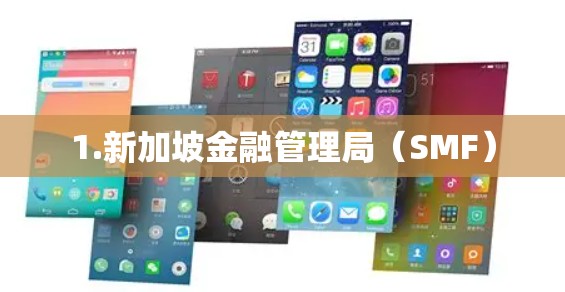 1.新加坡金融管理局（SMF）