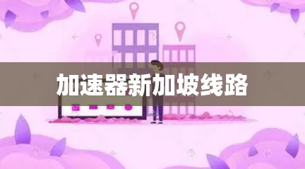加速器新加坡线路