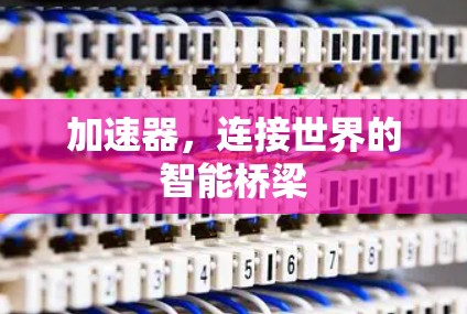 加速器，连接世界的智能桥梁