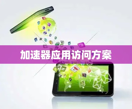 加速器应用访问方案