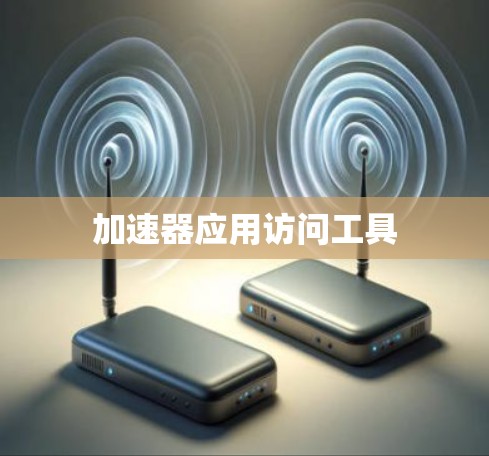 加速器应用访问工具