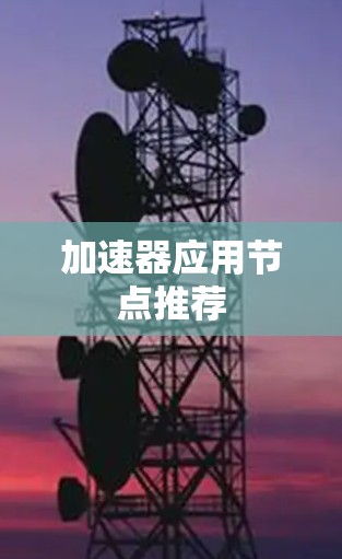 加速器应用节点推荐