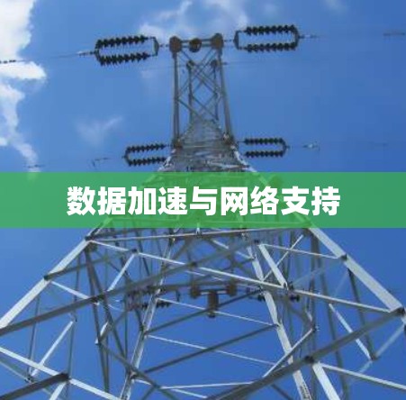 数据加速与网络支持