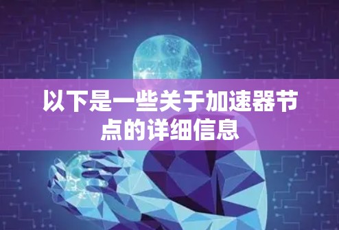 以下是一些关于加速器节点的详细信息