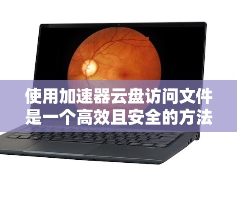 使用加速器云盘访问文件是一个高效且安全的方法，尤其适合需要快速下载和管理云端文件的人。以下是一个简化的步骤指南