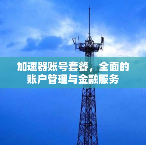 加速器账号套餐，全面的账户管理与金融服务