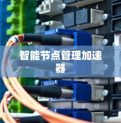 智能节点管理加速器