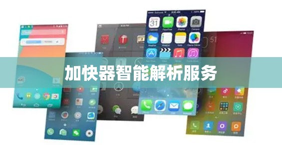 加快器智能解析服务
