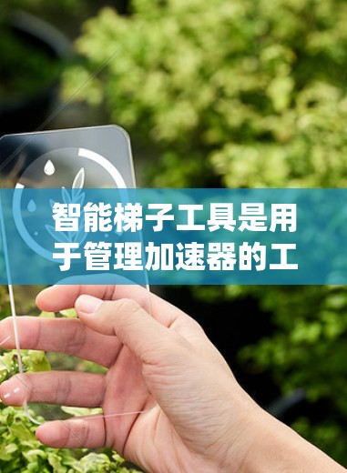 智能梯子工具是用于管理加速器的工具，帮助开发者高效地管理应用在不同操作系统上的加速器。以下是逐步的解释和功能说明