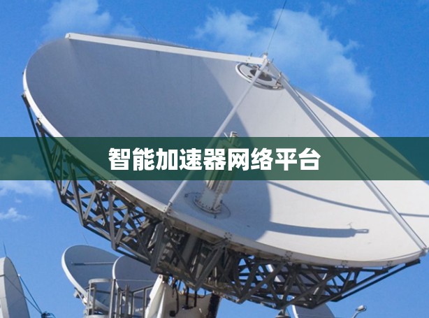 智能加速器网络平台