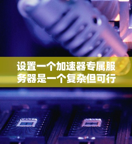 设置一个加速器专属服务器是一个复杂但可行的过程，以下是一个分步指南，帮助你完成这个任务