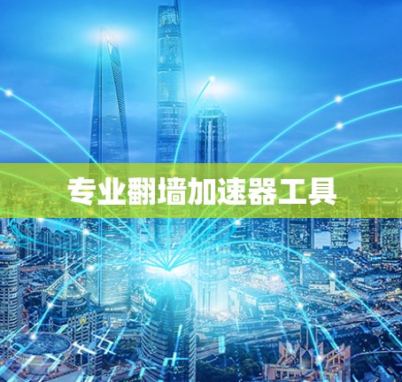 专业翻墙加速器工具