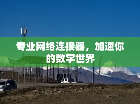 专业网络连接器，加速你的数字世界