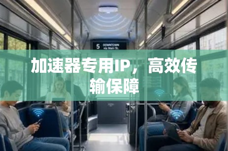 加速器专用IP，高效传输保障