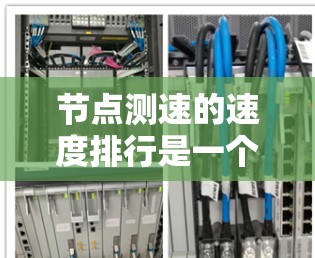 节点测速的速度排行是一个用于评估网络节点流量速度的工具，帮助监控和优化网络性能。以下是对节点测速排行的详细说明
