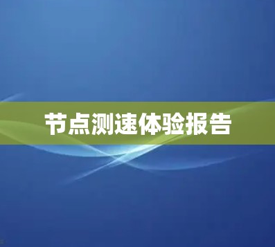 节点测速体验报告