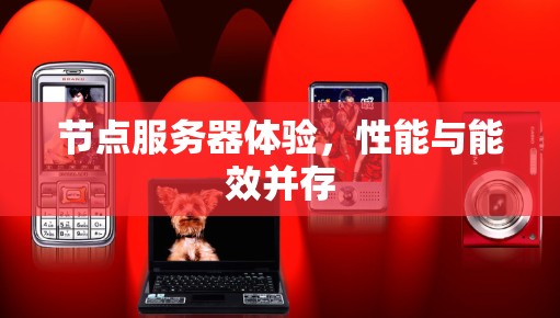 节点服务器体验，性能与能效并存