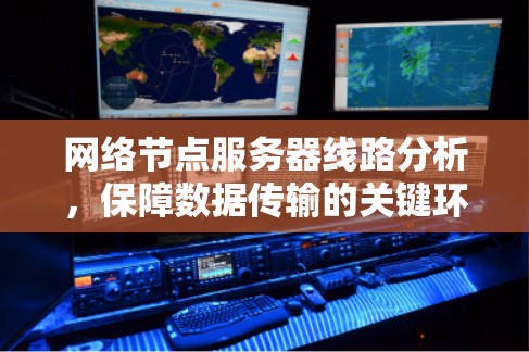网络节点服务器线路分析，保障数据传输的关键环节