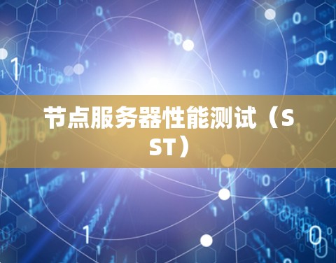 节点服务器性能测试（SST）