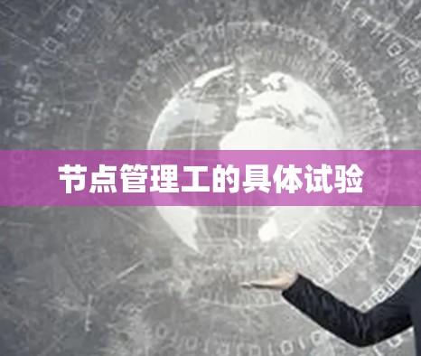 节点管理工的具体试验