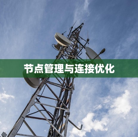 节点管理与连接优化
