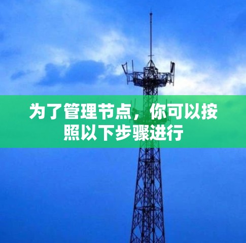 为了管理节点，你可以按照以下步骤进行