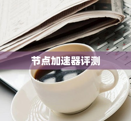 节点加速器评测