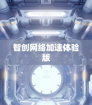 智创网络加速体验版