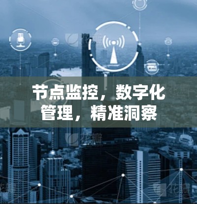 节点监控，数字化管理，精准洞察