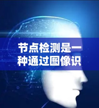 节点检测是一种通过图像识别技术提取图像中的节点技术，广泛应用于医学、农业、工业等领域。节点检测的排行取决于具体应用场景和需求，不同场景可能更关注不同的指标和方法。以下是节点检测的主要排行和相关介绍