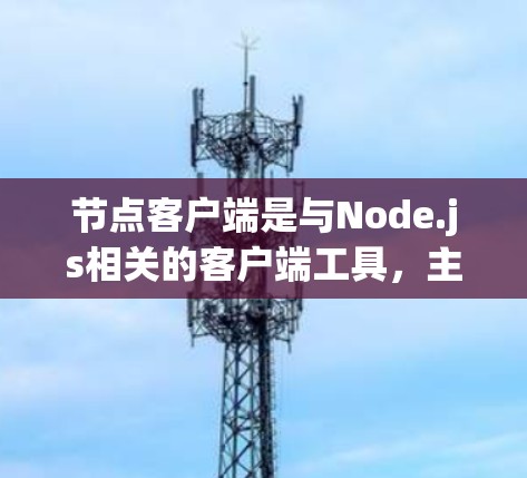 节点客户端是与Node.js相关的客户端工具，主要用于开发和测试本地应用。以下是基于Node.js 14.21的节点客户端的使用指南