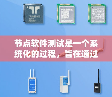 节点软件测试是一个系统化的过程，旨在通过自动化方法确保软件功能的正确性和完整性。以下是对节点软件测试的详细总结，帮助您更好地理解和掌握这一领域