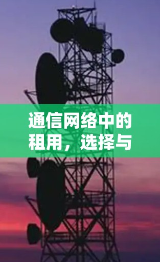 通信网络中的租用，选择与管理的关键因素