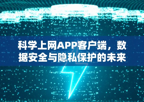 科学上网APP客户端，数据安全与隐私保护的未来挑战